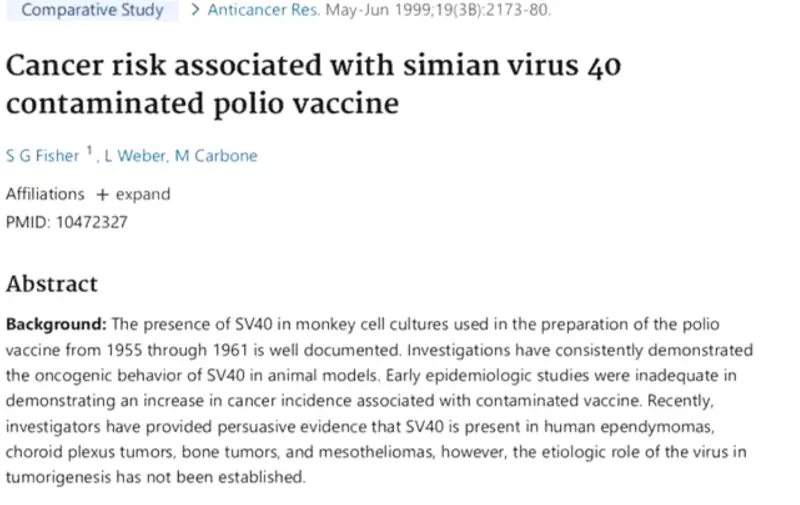 A screenshot of a published scientific study suggesting persuasive evidence links SV40 polio vaccines to increased cancer risk
