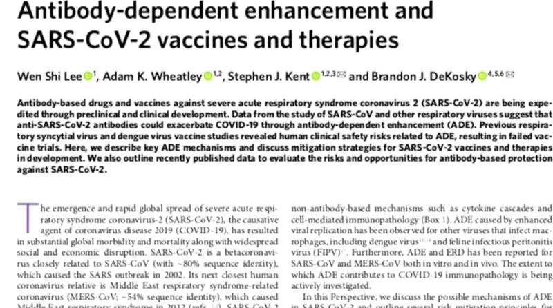 A screen shot of a scientific article titled, Antibody-dependent enhancement and SARS-CoV-2 vaccines and therapies